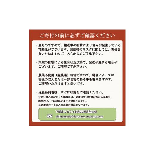 ふるさと納税 山口県 下関市  干し柿 下関産横野柿 20個 高糖度 季節限定 下関 山口