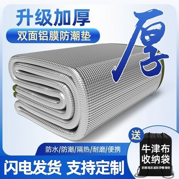🔥臺灣出貨🔥戶外與運動用品/運動健身與戶外休閒/釣魚/釣蝦/釣線防潮墊加厚戶外便攜野餐布防水野餐家用帳篷鋁膜宿捨睡墊地墊
