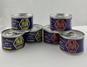 ケンコーマヨネーズ CANDISH saba 魔性のカリーケチャップ150g×3個,背徳のガーリックバター 150g×3個　サバ缶　合計6個セット　〔送料