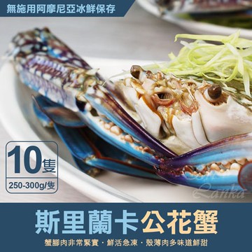【築地一番鮮】XL｜斯里蘭卡｜公花蟹250-300g ｜10隻