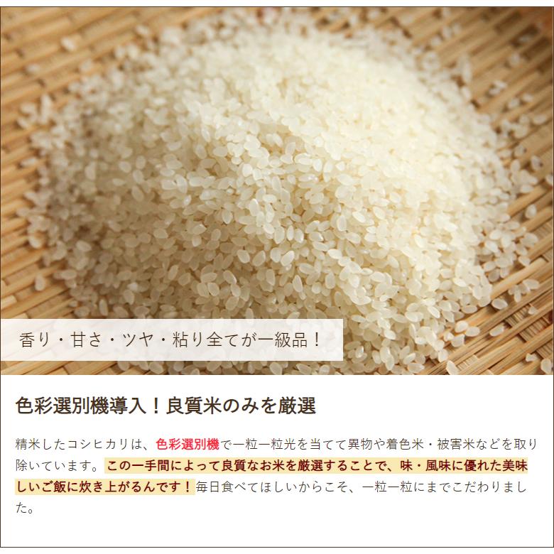 特別栽培米（減農薬・減化学肥料）新潟産コシヒカリ 精米10kg なかの牧場 のし無料 送料無料
