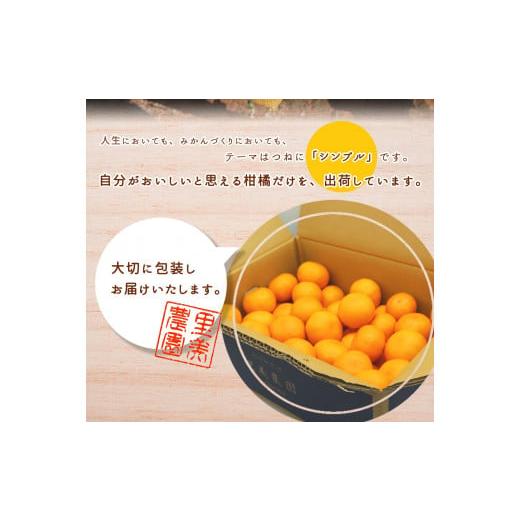 ふるさと納税 和歌山県 湯浅町 AN6115_カラマンダリン 訳あり 1kg SS〜3Lサイズ混合 農家直送 