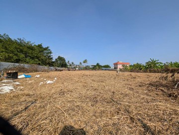 楊小扁~潮州崙新段大面寬無使用農藥優質農地｜屏東縣潮州鎮崙新段