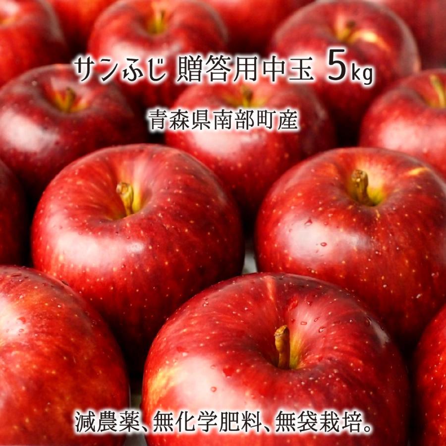 りんご　送料無料　サンふじ　贈答用　11月下旬〜3月下旬　18〜20玉　減農薬　青森県南部町産　中玉　無化学肥料　5kg　秀品　LINEショッピング