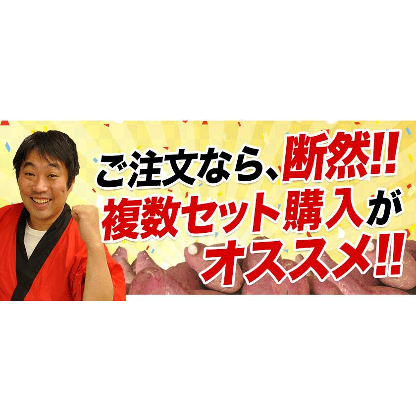 販売解禁 さつまいも 紅はるか べにはるか 1.5kg 送料無料 芋 熊本県産 スイーツ お取り寄せ 12月上旬-12月末頃より発送予定