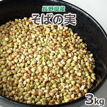 蕎麦の実４ｋｇ　国産　2023年産　長野県産