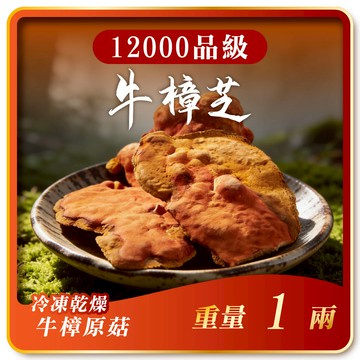 寶芝靈｜牛樟椴木子實體（冷凍乾燥牛樟菇12000品級）1兩