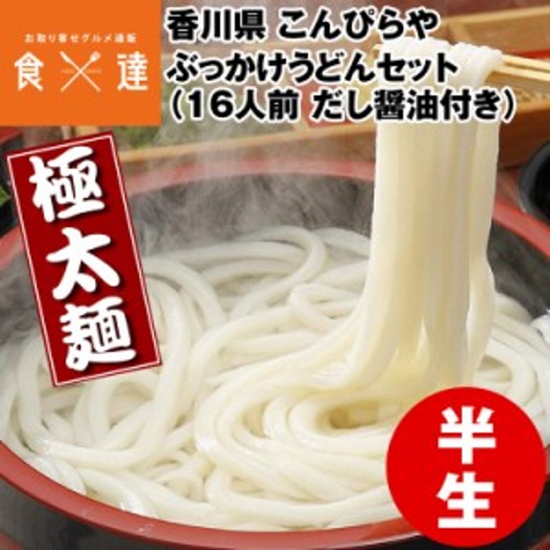 うどん さぬきうどん 讃岐うどん 16人前 だし醤油500ml付 極太麺 ぶっかけ 半生麺 産地直送 常温便 同梱不可 指定日不可 産直  LINEショッピング