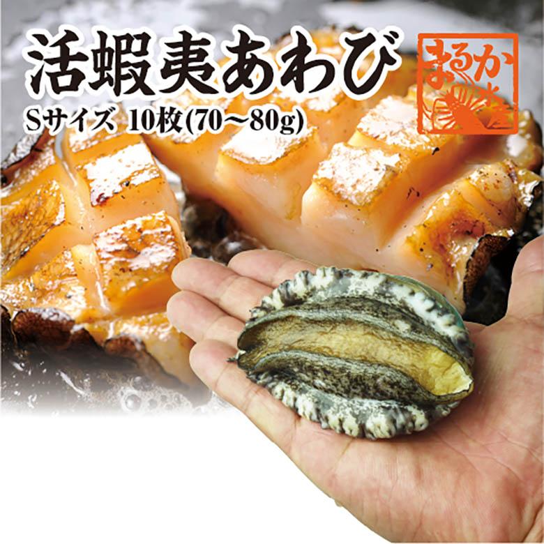 活蝦夷あわび 70ｇ〜80ｇ　10枚　[あわび]