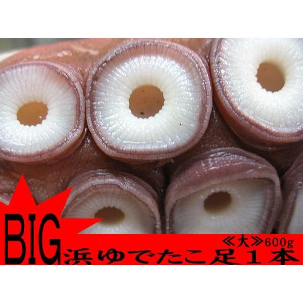 浜ゆでたこ足1本≪大≫600g オオダコ(北海道産刺身タコ-水だこ) ミズダコ 稚内 水ダコ 水蛸 