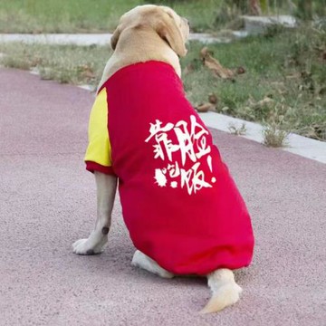 狗狗衣服秋冬款加絨加厚衛衣無帽拉布拉多金毛哈士奇柴犬狗狗衛衣