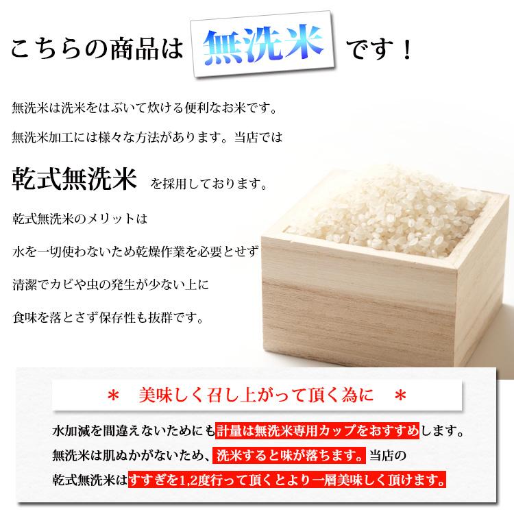 新米 無洗米 5kg 送料別 つや姫 山形県産 令和5年産 米 5キロ お米 あす着く食品