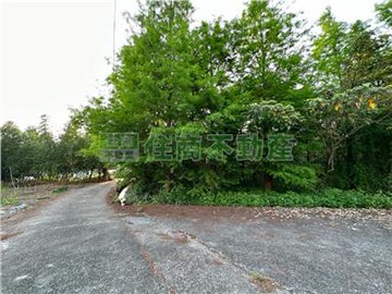 竹山落羽松森林景觀農地｜南投縣竹山鎮德興段