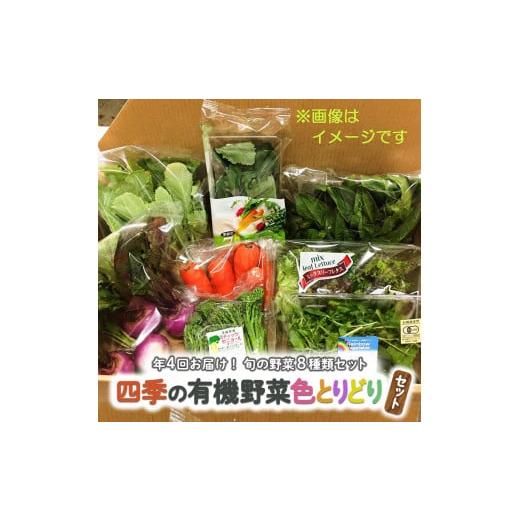 ふるさと納税 茨城県 筑西市 四季の有機野菜色とりどりセット[AL001ci]