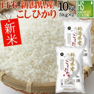 白米 令和5年産 新潟県産コシヒカリ 10kg(5kg×2袋) [翌日配送 ]送料無料 北海道沖縄へは別途送料760円