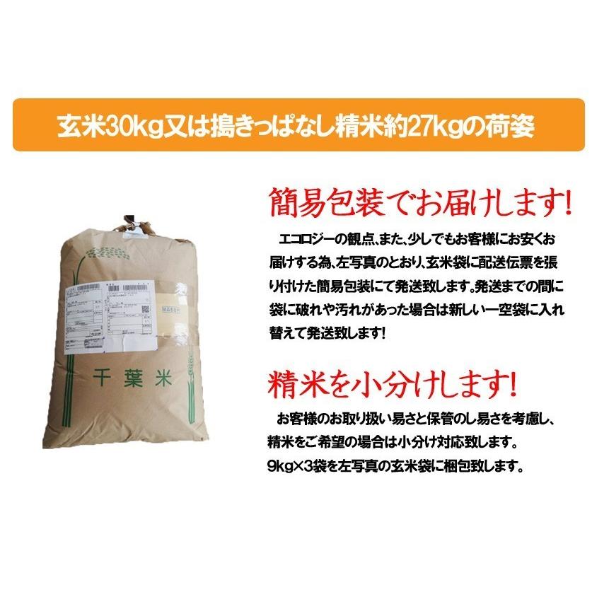 送料無料　令和5年産 新米 千葉県産ふさこがね 玄米30kg (10kg×3袋) 精米無料