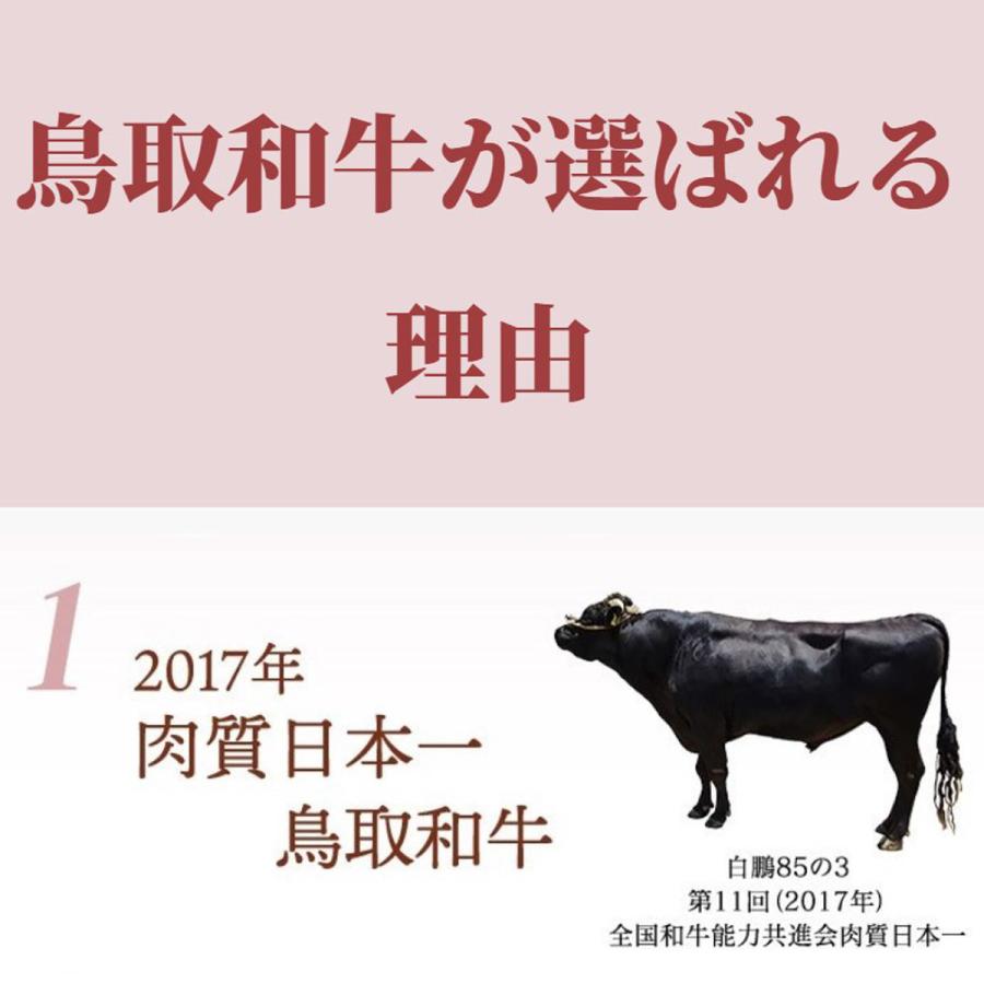 鳥取和牛オレイン55 サーロインステーキ 400g 牛肉 鳥取和牛 サーロイン 黒毛和牛 国産 ブランド牛