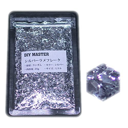 DIY MASTER シルバー ラメフレーク ランダム ミドル 25g