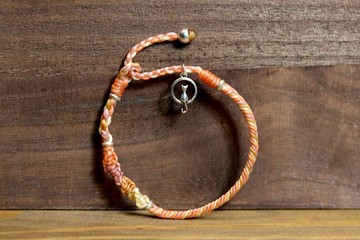 A&P海洋世界-巴哈馬夢幻沙灘之貓