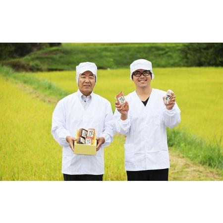 ふるさと納税 ボーノポークプレスハム（約390g×2本）豚肉 ブランド豚 贈答 ギフト  岐阜県下呂市