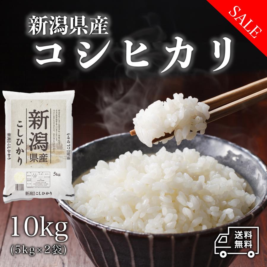 新米 米 お米 10kg 新潟県産 こしひかり 白米 10キロ 令和5年産 5kg×1袋 精米