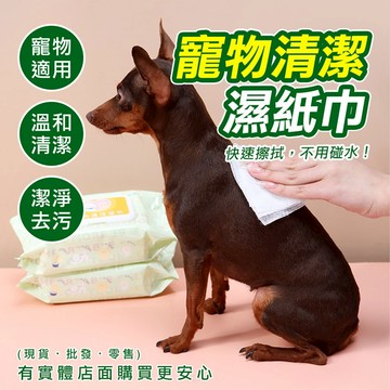 【現貨】寵物濕巾 寵物濕紙巾 寵物清潔濕紙巾 80抽 12抽 去眼垢濕紙巾 寵物洗澡濕巾 貓咪狗狗清潔美容 貓犬通用 柚柚的店