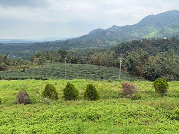 竹山臨8米路有景觀已整理完成擋土牆山坡保育區農牧用｜南投縣竹山鎮文田段