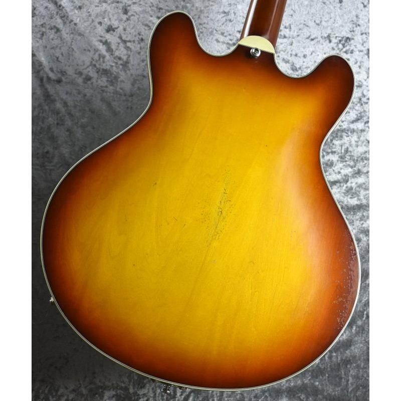 Eastman T-64VT 《Golden Burst》S N P2300440