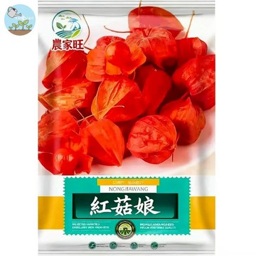 【原廠包裝】紅姑娘果種子（Red Lady Apple）200粒裝 燈籠果/黃金莓 盆栽可種 酸甜多汁 維生素C豐富
