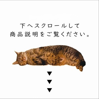 SAVE THE CAT 真鍮 肉球ぎゅっとバングル【kura】 | NECOREPA STORE