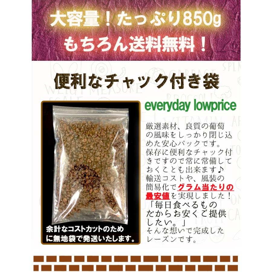 レーズン 850g メガ盛り お徳用 干し葡萄 カリフォルニア ドライフルーツ ぶどう 保存 訳あり 母の日 父の日