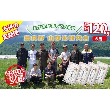 ふるさと納税 ◆6ヵ月定期便◆ 富良野 山部米研究会精米 5kg×4袋（20kg） 北海道富良野市