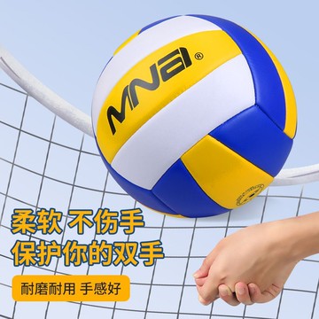 中考排球5號中學生專用體考五號訓練比賽室外472M公司貨