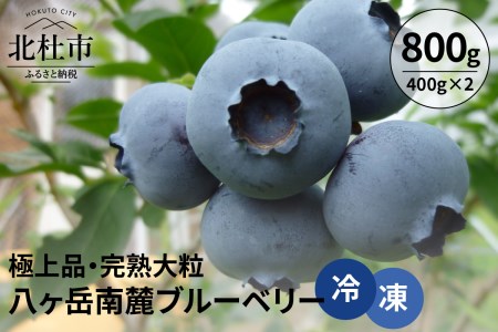 八ヶ岳南麓ブルーベリー（冷凍）800ｇ（400ｇ×2）