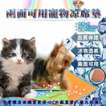 【台灣現貨🔥免運🔥24H出貨】寵物涼蓆 寵物涼墊 65*46cm兩面用狗墊涼蓆(中) 涼墊 寵物 竹蓆 寵物墊 興雲網購
