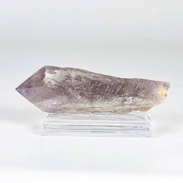 雅典娜紫骨幹 040204