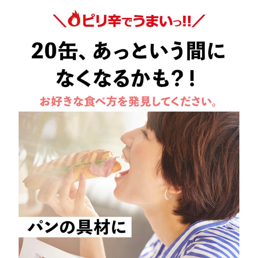 めんツナかんかん 20缶セット ふくや 明太子 秘密のケンミンSHOW 極 テレビで話題 ツナ缶 レギュラー 福岡 博多 人気 ご飯のお供