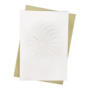 浮雕鸚鵡螺【Hallmark-Signature經典手工卡系列 關懷掛念】