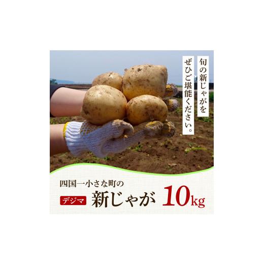 ふるさと納税 高知県 田野町 ★先行受付：2024年5月発送開始★大野台地で採れた 令和6年産新じゃがいも『デジマ』10kg 10キロ イモ ジャガイモ 芋 いも ポテト…