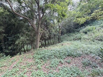 專任苗栗縣三灣超級便宜農地｜苗栗縣三灣鄉崁頂寮段