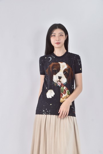 (M) dolce gabbana棉質純棉狗狗藍色短袖上衣