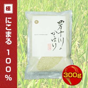 産年経過　特別価格仁井田郷米クラブ　四万十川のかほり　仁井田米　極みシリーズ　にこまる100％　300g お試しサイズ