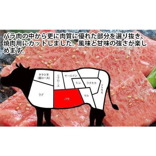 ふるさと納税 高知県 高知市 土佐和牛特選カルビ焼肉約500g 最高級A5 牛肉