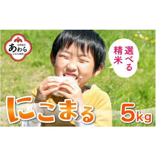 ふるさと納税 福井県 あわら市 にこまる 5kg