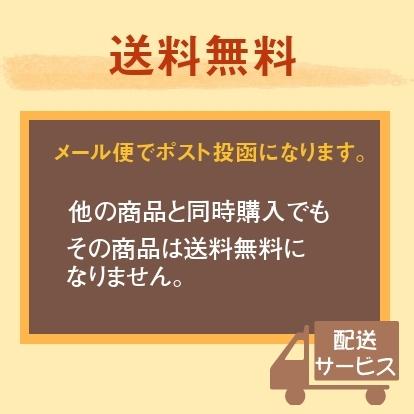 干し柿  五十沢 あんぽ柿 310g 家族セット(中2個・小3個) 家庭用 ポスト投函 福島県伊達 《1 中旬より出荷》