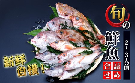 開けたらすぐ食べられる日本海の鮮魚詰合せ（2～3人前）(魚介 下処理済み 詰め合わせ セット)