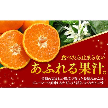 ふるさと納税 みかん 約10kg（100〜120個）    長与町 ＜長崎西彼農業協同組合 長与支店＞ 温州みかん みかん10kg 温州  [EAH003] 長崎県長与町