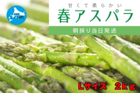 北海道産　寅福菜園の朝採れ春アスパラ　Lサイズ2㎏