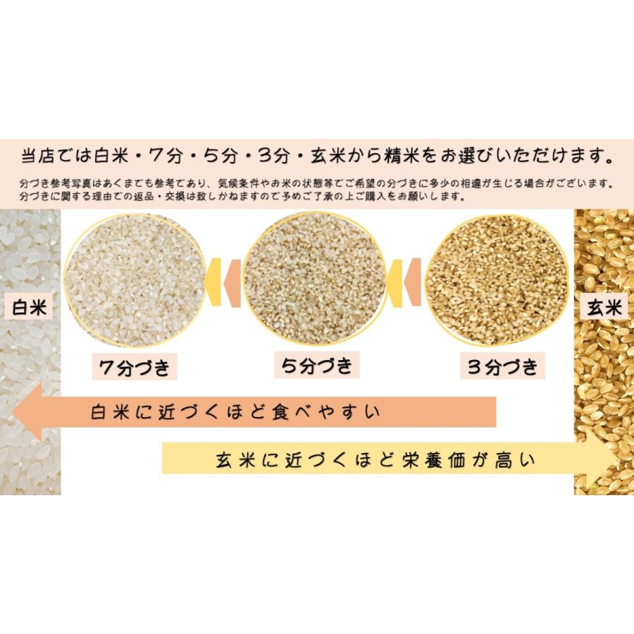 新米 令和5年産 秋田県産あきたこまち ３０ｋｇ 玄米 うまい米 米専門 みのりや   送料無料