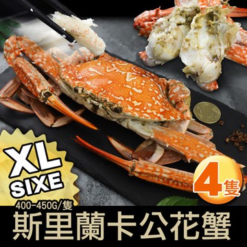 【築地一番鮮】XL斯里蘭卡公花蟹4隻(400UPg/隻)